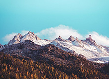 IM电竞网站：一站式开启你的专属电竞体验